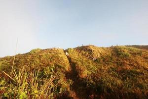 silhouet toerist in vallei van berg met mistig en de nevel in winter van zonsopkomst schijnend Aan de lucht Bij phu Chee fah heuvel noordelijk van Thailand foto