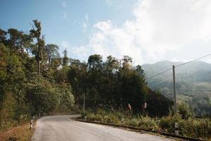 geel teken etiket waarschuwing van kromme weg Aan de berg in Thailand foto