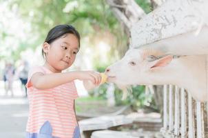 schattig boer meisje voeden baby geit foto