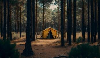 zomer kamp in de pijnboom bos, uitzicht van camping tenten tussen de pijnboom bomen ,generatief ai foto