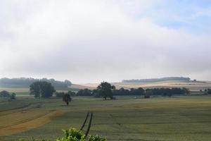 zomer regen Aan graan velden foto