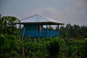 een blauw cabine gemaakt van bossen in de midden- van de Woud foto