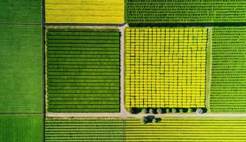 generatief ai, boerderij landschap, agrarisch velden, mooi platteland, land weg. natuur illustratie, fotorealistisch top visie drone, horizontaal spandoek. foto