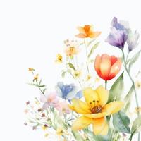 aquarel Lentebloemen foto