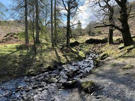 een visie van de meer wijk in de buurt rydal water foto