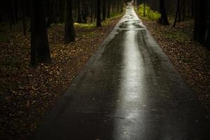 nat pad in park. regen Aan asfalt. leeg weg in Woud in herfst. foto