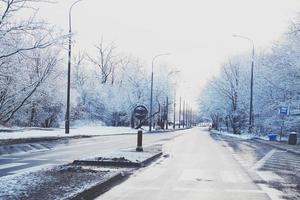 winter landschap met vers sneeuw en bomen foto