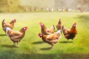 kippen Aan een traditioneel vrij reeks gevogelte biologisch boerderij begrazing Aan de gras ai gegenereerd foto