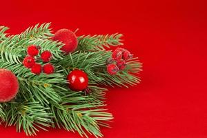 Kerstmis kaart. takken van een Kerstmis boom met rood bessen Aan een rood achtergrond. rood kleur. foto
