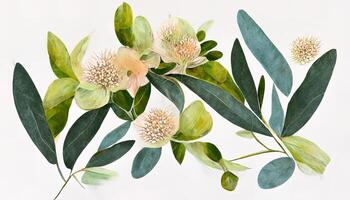 waterverf eucalyptus bloem regeling, groen takken en jasmijn bloemen clip art. generatief ai foto