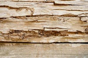 termieten eten hout klep oppervlakken met scheuren en gaten, de structuur van de muur van een oud huis gemaakt van houten borden is versleten door termieten. foto