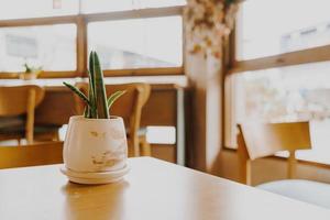 plant in pot decoratie op tafel foto