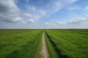 de landschap van gras velden en blauw lucht weg leidend uit in de afstand. generatief ai. foto