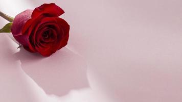 close-up beeld van Valentijnsdag concept met rozen foto
