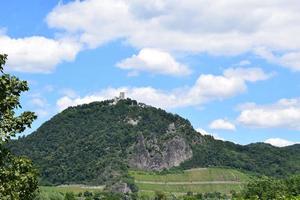 drachenfels met de wijngaarden in lager onderdelen foto