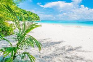 prachtige tropische strand achtergrond foto