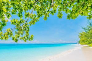 prachtige tropische strand achtergrond foto