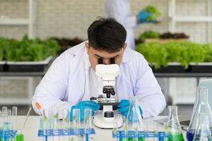 wetenschapper aan het doen experiment in landbouw laboratorium naar ontwikkelen genetisch wijziging gewassen foto