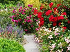 heldere bloemenpresentatie in een zomertuin foto