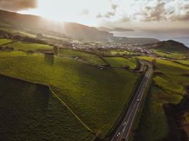 dar visie van goreana thee plantage in sao Miguel, de azoren foto