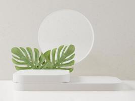 cosmetisch wit podium voor productpresentatie en monstera, 3d render foto