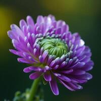 een dichtbij omhoog van bloem met achtergrond ai generatief foto