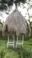 rieten dak onderdak en twee stoelen in de midden- van de rijst- velden, natuur achtergrond. foto