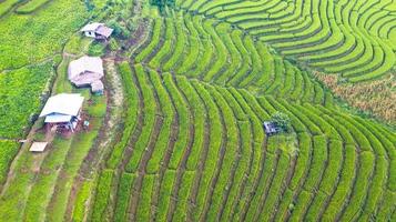 luchtfoto van de groene terrasvormige rijstvelden