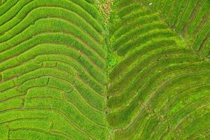 luchtfoto van de groene terrasvormige rijstvelden foto