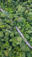 luchtfoto bovenaanzicht auto rijden door het bos op landweg, uitzicht vanaf drone