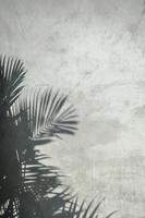 palmbladschaduw op de muur