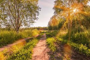 land weg met hoog gras en berken Aan de kant. foto