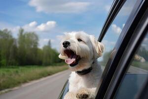 gelukkig hond looks uit van auto venster. weg reis met hond. generatief ai foto