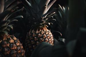 ananas fruit detailopname. genereren ai foto