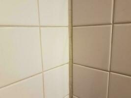 droog wit tegel kalefateren in badkamer of keuken muur foto