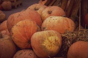 oranje herfst vers pompoen aan het liegen buitenshuis net zo een decoratie foto