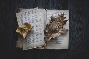 beschadigd boek aan het liegen Aan een donker achtergrond met een herfst blad foto