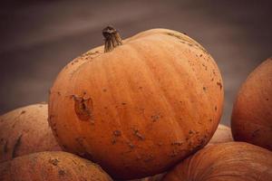 oranje herfst vers pompoen aan het liegen buitenshuis net zo een decoratie foto