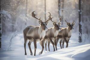 gevlekte rendier groep wandelen in besneeuwd Russisch terrein Kerstmis vakantie ai gegenereerd foto