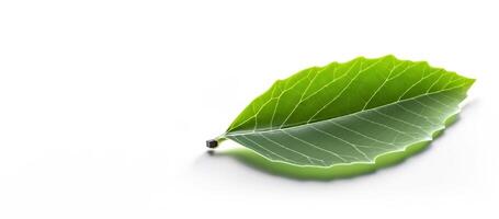 groen textuur blad van een boom detailopname, isoleren. ai gegenereerd. foto