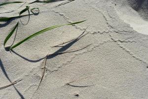 natuurlijke achtergrond met zand textuur foto