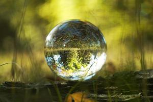 een lensbal in een herfstbos foto