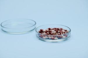 een Petri schotel met medisch pillen en gelatine capsules Aan geïsoleerd blauw achtergrond met kopiëren advertentie ruimte foto