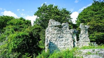 natuurlijk landschap met ruïnes op de achtergrond van bomen. foto