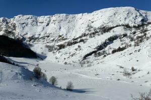 verbazingwekkend visie van verschillend berg pieken met sneeuw gedurende winter. mooi berg reeks en verbazingwekkend attractie voor alpine klimmers. avontuurlijk levensstijl. foto