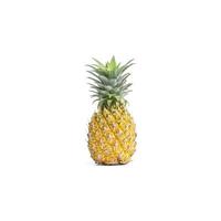 ananas geïsoleerd op een witte achtergrond. foto