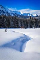 winter in de Canadese rotsachtige bergen foto