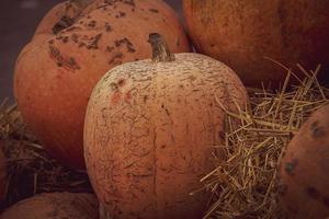 oranje herfst vers pompoen aan het liegen buitenshuis net zo een decoratie foto