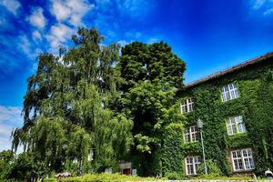 historisch historisch Pools Koninklijk kasteel wawel Aan een warm zomer dag foto