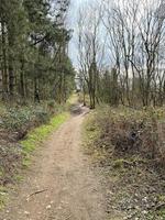 een visie van de shropshire platteland Bij gagmond in de buurt shrewsbury foto